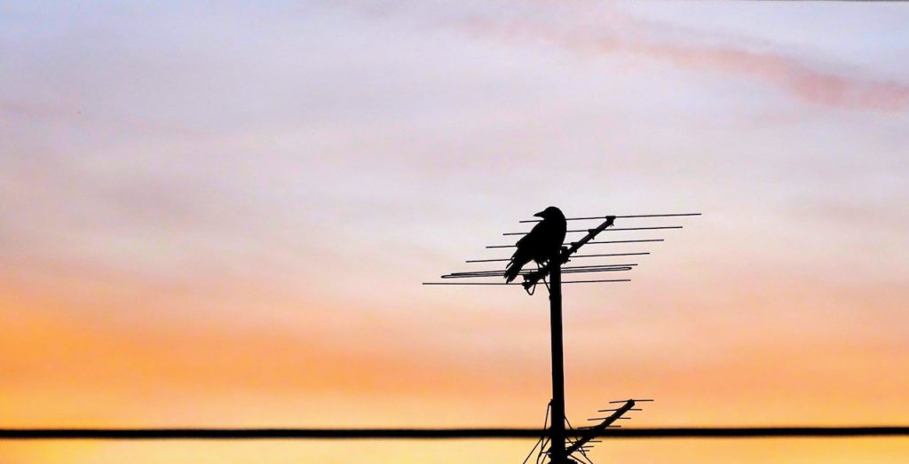 Jaką antenę do telewizji naziemnej wybrać?